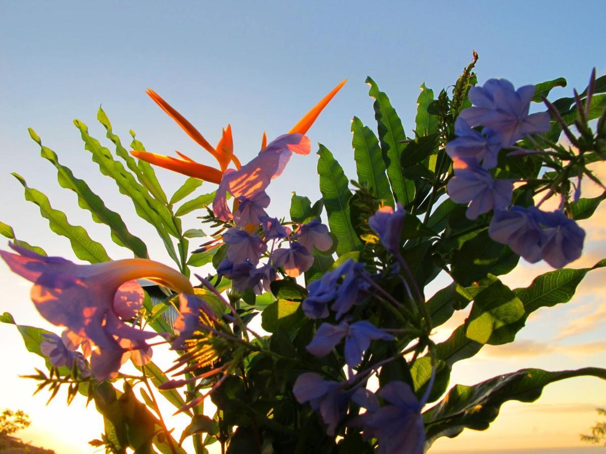 Bounty Lodge Tahiti Arue  ภายนอก รูปภาพ